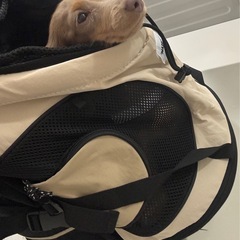 ペット用フロントリュックの画像