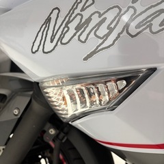 カワサキ ninja400Rの画像