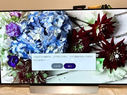 OLED55C7P [55インチ] ※焼付あり