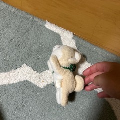 ぬいぐるみの画像