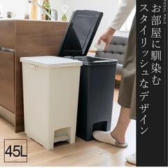 ゴミ箱　大容量　キッチンの画像