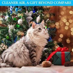 携帯型ペット用空気清浄機 トイレ 猫用トイレ消臭 犬の排泄物臭除去の画像