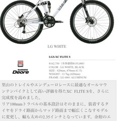 LOUIS GARNEAUの画像