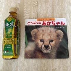 どうぶつのあかちゃん　絵本　人気の画像