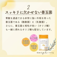 サジーらくさん菌と乳酸菌の画像