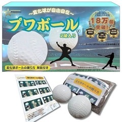 プワボール野球⚾️✨