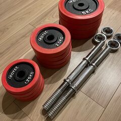 【直接引取、配送不可】IROTEC 高級ラバーダンベル35kg／藤沢受け渡し・ノークレームの画像
