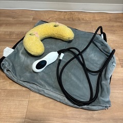 （ほぼ新品）猫の縦型トイレ、ホットヒーターの画像