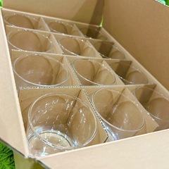 新品未使用✨ シンプルな220mlグラス12個セット ／家庭用・業務用にも！の画像