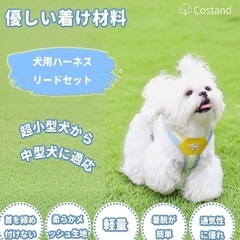 犬のハーネス　試着のみの画像