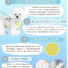 犬のハーネス　試着のみの画像
