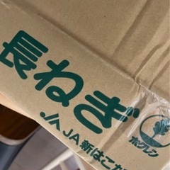 ④北海道産 長ねぎ10本(訳あり)の画像