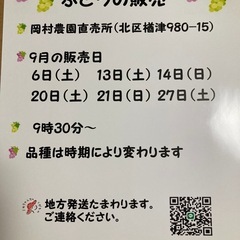ぶどうの販売