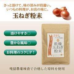 玉ねぎ粉末 乾燥玉ねぎ 100gの画像