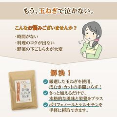 玉ねぎ粉末 乾燥玉ねぎ 100gの画像