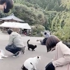 猫寺にいく会🐈
