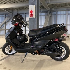 シグナス2型　国内　台湾の画像