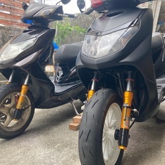 シグナス2型　国内　台湾の画像