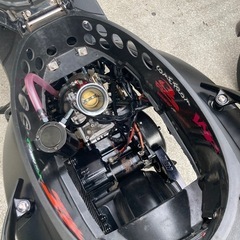 シグナス2型　国内　台湾の画像