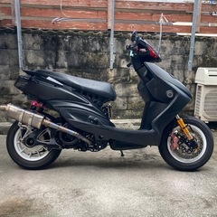 シグナス2型　国内　台湾の画像