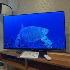 【保証付き】シャープ 48型 4K有機ELテレビ AQUOS 4T-C48CQ1の画像