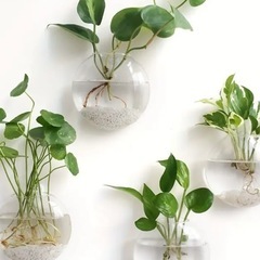 ガラス　壁掛け　花瓶の画像