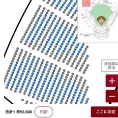 ☆2025.09.13(土)楽天イーグルスvs千葉ロッテの画像