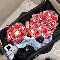 キャンピング用カートの画像