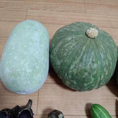 ９月のお野菜９点の画像