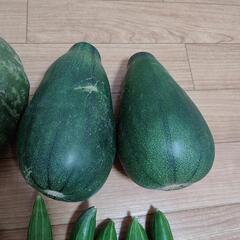 ９月のお野菜９点の画像