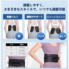 滑車式腰痛ベルト　Lサイズの画像
