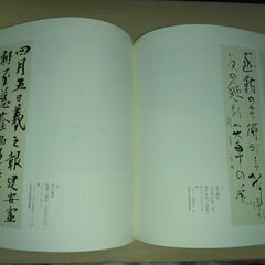『四神の書　比田井天来門下四書家の足跡を辿る』上田桑鳩・手島右卿・金子鷗亭・桑原翠邦の画像