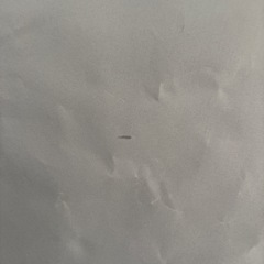 ロールスクリーン遮光
の画像