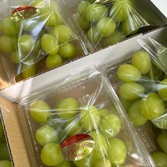 シャインマスカット切り落としパック🍇の画像