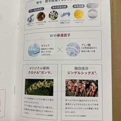 育毛剤新品8690円の画像