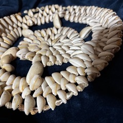 【宝貝タカラガイの装飾品】の画像