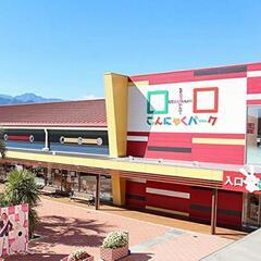 【激レア極安】シャインマスカット【長野県産】の画像