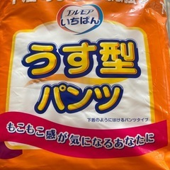 エルモア　うす型パンツ　2袋の画像