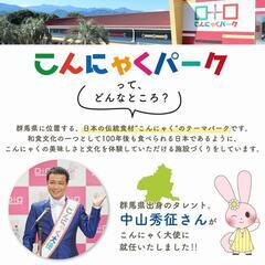 【激レア激安】北海道･メロン【北海道】の画像