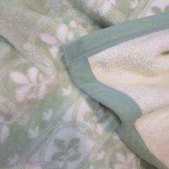グリーン系毛布　ブランケット　シングル　厚み普通の画像