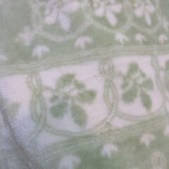 グリーン系毛布　ブランケット　シングル　厚み普通の画像