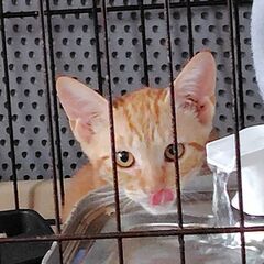 ボクの背中、すてきでしょ？