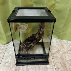 エキゾテラ　爬虫類　ケージの画像