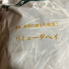 うさぎの牧草の画像