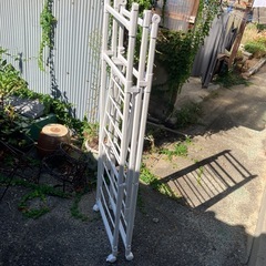 【9/6まで限定】カインズ室内干し　折りたたみの画像