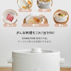 ホットクッカー　電気鍋 2.0L の画像