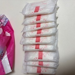 ソフィ ボディフィット ナプキン 普通の日21cm羽根なしの画像