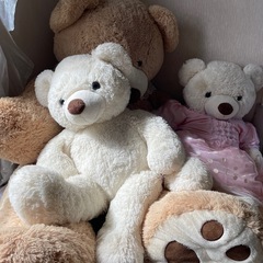 クマぬいぐるみ 3個の画像