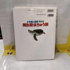 0903-031 はちゅう類　図鑑　本の画像