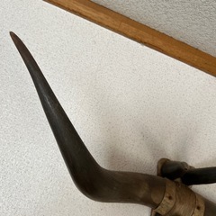 牛の角のオブジェの画像
